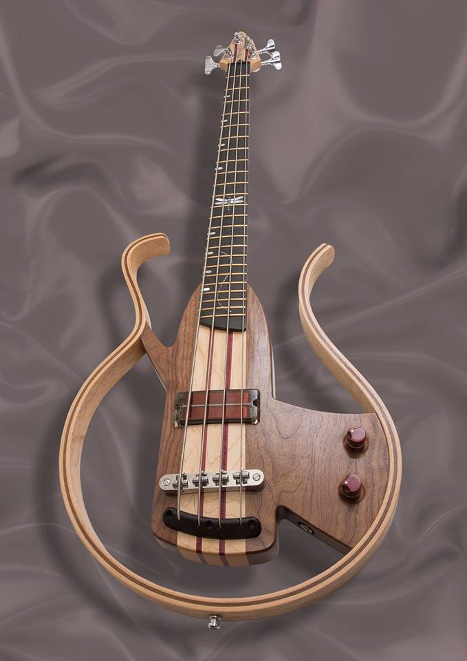 Dragonfly bass with a 4 string transparent q-tuner